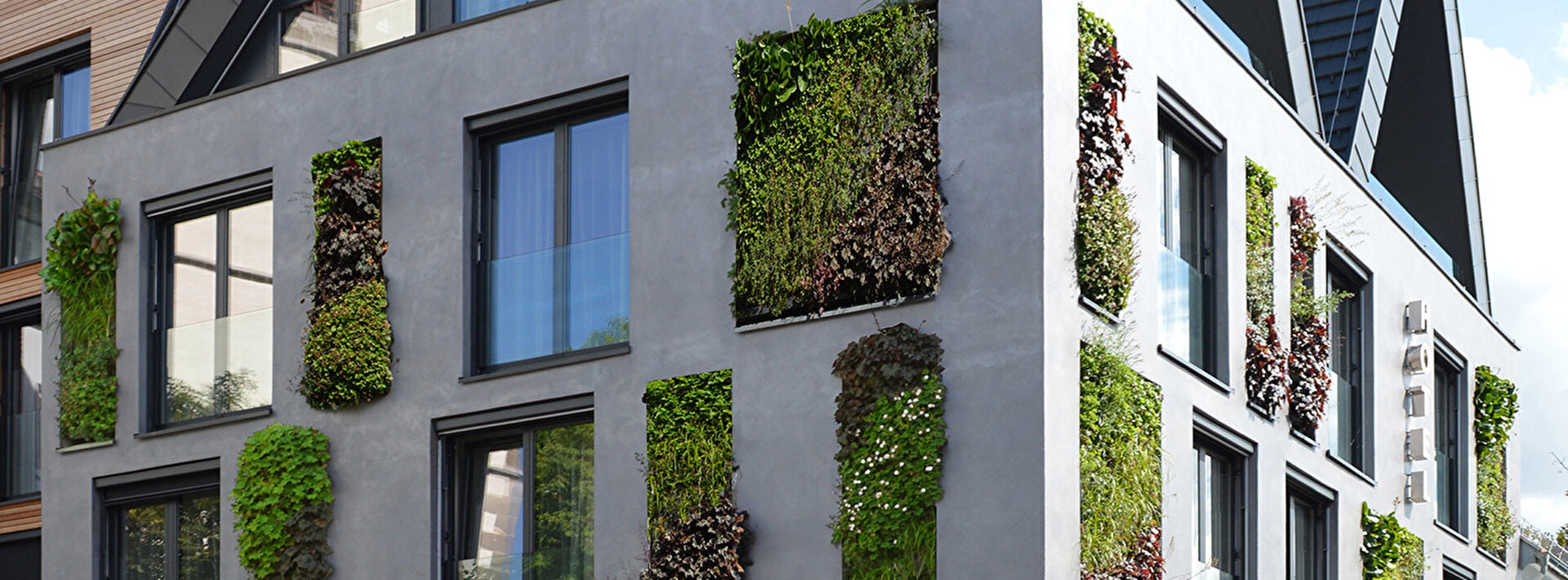 1350x500px-Hotel-Restaurant-Schwanen-D (1).jpg